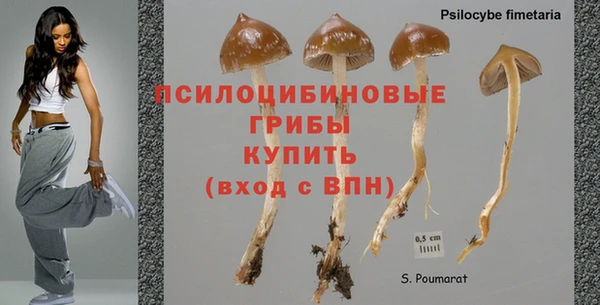 тгк Баксан